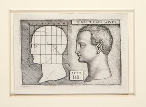 Andel undersøgelser til af Hans Sebald Beham