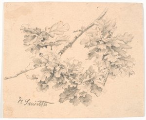 Studie af egegrene af Hans Smidth