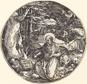 Sankt Hieronymus i anger af Hans Springinklee