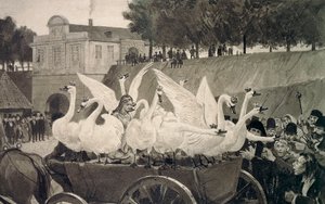 Wild Swans, illustration by Hans Tegner (1853-1932) for fairy tale by Hans Christian Andersen (1805-1875) af Hans Tegner
