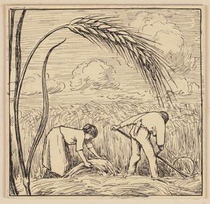 Tegning til lærebogen: Majskolbe af Hans Thoma