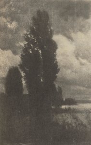 Kameraarbejde: Poplars and Clouds, 1906. af Hans Watzek