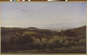 Heather Hills ved Rye, Jylland af Harald Foss