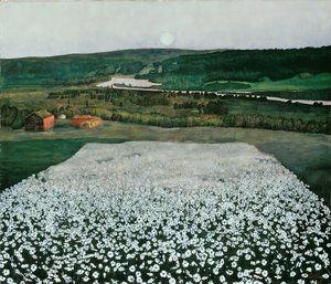 Blomstereng i Norden