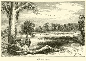 Gibraltar Rocks (gravering) af Harden Sidney (after) Melville