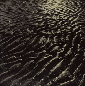 det ribbede hav-sand, Coleridge (s/h foto)