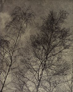 deres charme er skrevet langs en flydende himmel, Robert Bridges (s/h foto)
