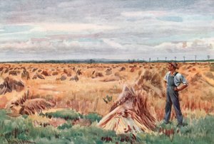 Langs Manitobas hvedemarker af Harold Copping