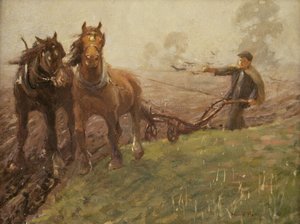 Mand, der pløjer en mark