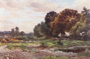 Et hjørne af Esher Common (farvelitografi) af Harold Sutton Palmer