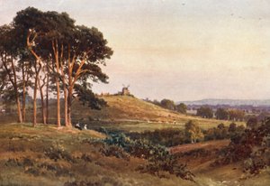 Reigate Heath, aften (farvelitografi) af Harold Sutton Palmer