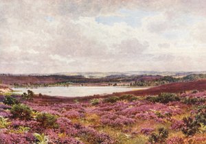 Den store dam, Frensham (farvelitografi) af Harold Sutton Palmer