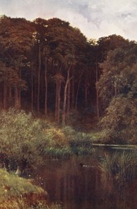 Woodland Depths, Wotton (farvelitografi) af Harold Sutton Palmer
