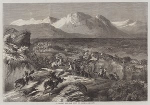 En nylig vildsvinejagt i Algeriet