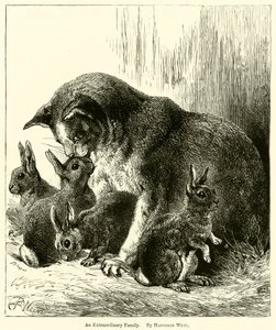 En ekstraordinær familie af Harrison William Weir