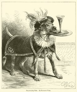 Hund, der bærer plade af Harrison William Weir
