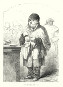 Sjove hunde: Den rejsende hund (gravering) af Harrison William Weir