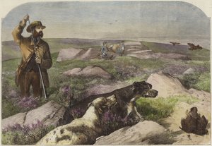 Rypeskydning
