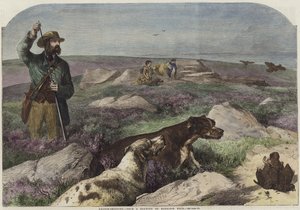 Rypeskydning