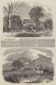 Hendes Majestæts Stag-Hounds i Hillingdon af Harrison William Weir