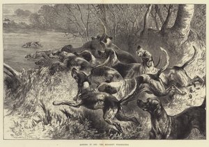 Mid-Kent Staghounds