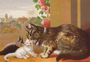 Kat og hendes killinger (farvelitografi) af Harrison William Weir