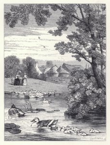 Andedammen (gravering) af Harrison William Weir