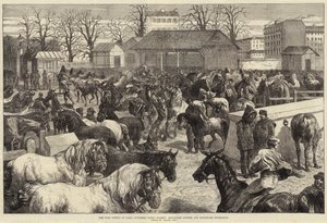 Madforsyningen i Paris, Butchers