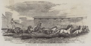 Paris Hippodrome, Seventeen Horses drevet af M Martin af Harrison William Weir
