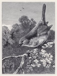 The Robin Watching the Boys with the Nest (gravering) af Harrison William Weir