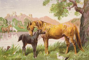 Det ødelagte slot (farvelitografi) af Harrison William Weir