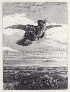 Løvlærkens sang (gravering) af Harrison William Weir
