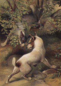 To hunde, der prøver at nå en vandpulje for at drikke (Chromolitho) af Harrison William Weir