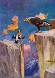 Jay and the Nightingale (farve litho)