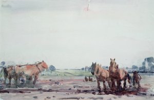 Plovheste