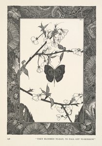 Sommerfuglen. De blomstrede i dag, for at falde af i morgen. af Harry Clarke