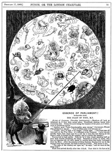 Essence of Parliament, 1883 af Harry Furniss