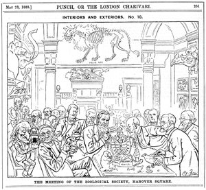 The Meeting of the Royal Zoological Society, Hanover Square, London, 1885 af Harry Furniss