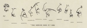 Noes-erne (dvs. politikernes næser) har det - 1883 (litho) af Harry Furniss
