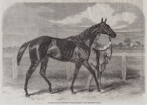 Caller Ou, vinderen af St Leger af Harry Hall