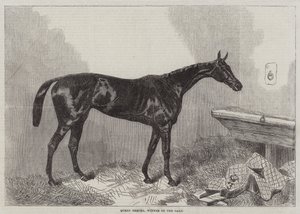 Queen Bertha, vinder af Oaks