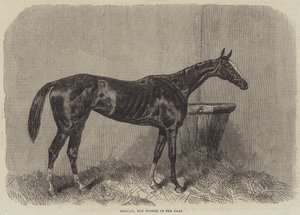 Regalia, vinderen af Oaks