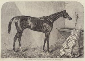 The Duke, vinder af Goodwood og Brighton Cups af Harry Hall