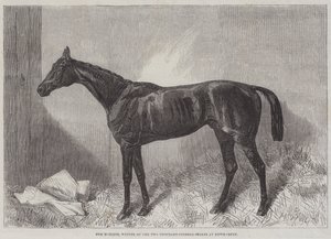 Markisen, vinder af Two Thousand Guineas Stakes på Newmarket