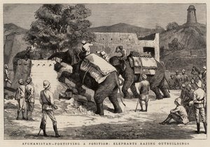 Afghanistan, befæster en stilling, elefanter river udhuse