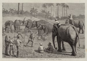 En elefantpud i Øvre Burma af Harry Hamilton Johnston