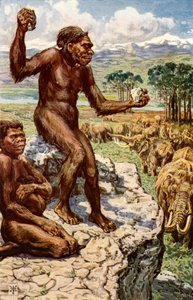 Neandertaler menneskeheden