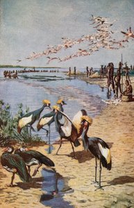 De nordlige kyster af Tchad-søen, set af Denham i 1822 af Harry Hamilton Johnston