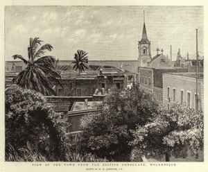 Udsigt over byen fra det britiske konsulat, Mocambique af Harry Hamilton Johnston