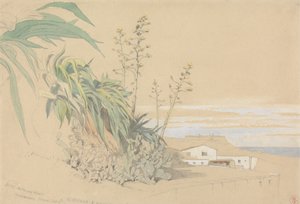 Aloe og stikkende pærer, Tarragona, Spanien